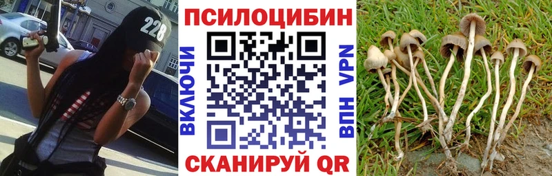 Псилоцибиновые грибы мухоморы  Аргун 