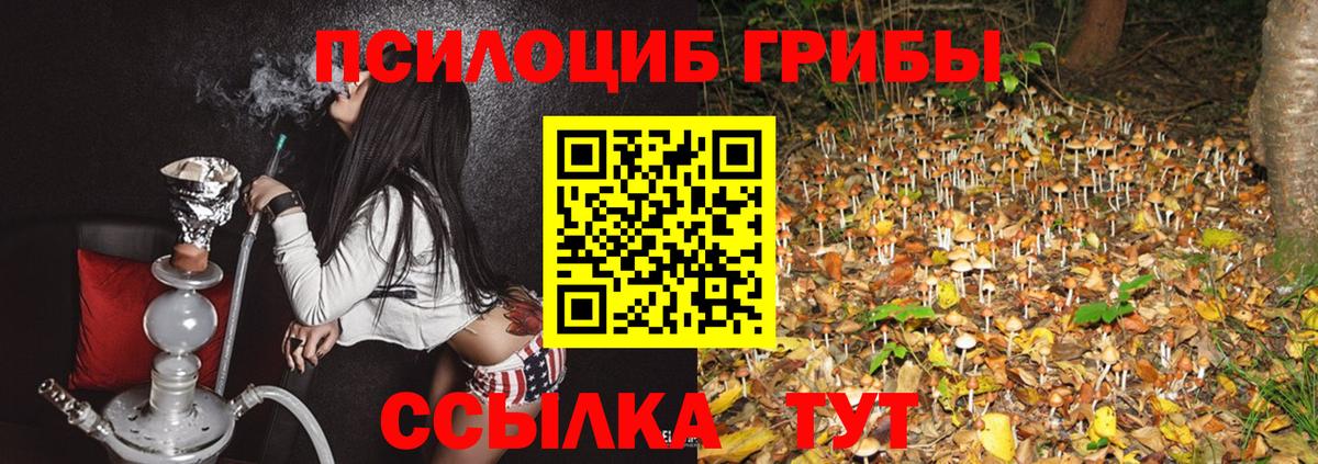 Псилоцибиновые грибы Psilocybine cubensis  Вход с VPN  Аргун 