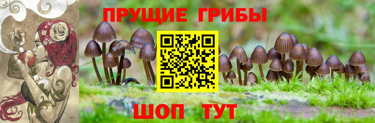 Галлюциногенные грибы мицелий Аргун